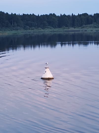 A seagull stands atop a white conical buoy in the middle of a calm body of water. The buoy has the number "7" clearly marked on its side in black. The water's surface reflects the overcast sky and the dark green, treelined shore visible in the background. The scene appears to be a quiet, natural setting.
