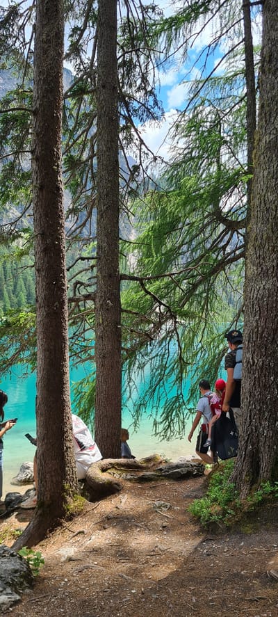 A group of people are gathered near the shore of a vibrant turquoise lake, framed by the trunks and branches of pine trees. The scene is set in a mountainous area, suggested by the distant peaks visible through the foliage. The water is remarkably clear, allowing the sandy lakebed to be seen.

Several individuals are visible. In the middle ground, a person wearing a red hat and a child in a life vest are being attended to by an adult. Further along the shore, another person appears to be sitting or lying down. In the foreground, partially obscured by trees, a person is holding a mobile phone.

The time of day appears to be daytime, with bright sunlight casting shadows on the forest floor. The weather seems pleasant, with a clear blue sky with some clouds visible. The presence of pine trees and the distinctively colored lake strongly suggest the location is Prags/Braies Lake in Italy. The overall mood appears relaxed and recreational, with people enjoying the natural beauty of the location. No visible text is present in the image.