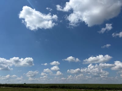 The image depicts a bright, sunny day with a vast expanse of blue sky filled with scattered white cumulus clouds. The horizon line shows a flat, green landscape, likely a field or prairie, with a thin line of vegetation along the bottom edge. A fence runs horizontally across the foreground. In the distance, on the horizon, a lone tree is visible. The image does not show any specific landmarks or features that would allow for precise location identification within the city of Ves', Russia. There are no people, animals, or specific activities captured in the scene.