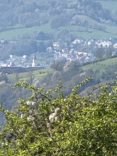 The image presents a blurred view of a section of the city of Diekirch, Luxembourg, observed from a high vantage point. In the foreground, branches and leaves of a tree partially obscure the view. The city, visible in the middle ground, is nestled within a valley. The terrain consists of a mix of green fields and wooded areas. The residential structures, predominantly white, are arranged along the valley floor. Overall the view is distant and lacks clarity.
