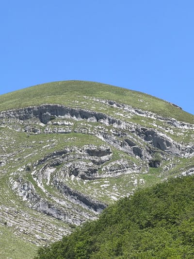 A landscape image showcases a rugged mountain slope against a clear, vibrant blue sky. The sky occupies approximately the left half of the frame and is entirely cloudless. The right half is dominated by the mountain, which features a prominent display of geological formations. Exposed grey rock faces exhibit intricate, swirling, and folded layers, characteristic of tectonic activity and geological stress over time. These distinct patterns are interspersed with patches of bright green grass and low-lying vegetation that cover the gentler slopes and crevices of the rock. A denser area of green foliage, appearing as thick bushes or small trees, is visible along the far right edge of the frame. The scene is bathed in bright daylight, suggesting a sunny day with excellent visibility. There are no people, animals, or man-made objects visible. No text is present in the image. The location context for this geological wonder is Šavnik, Montenegro.