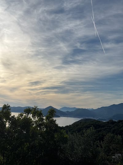 The image depicts a serene landscape scene, likely taken at sunset or sunrise, overlooking a body of water and a mountainous coastline. In the foreground, lush green trees, possibly olive trees, dominate the lower portion of the frame, creating a natural border. Beyond the trees, a calm body of water is visible, reflecting the soft, diffused light from the sky. In the middle ground, rolling hills covered in dense vegetation rise from the water's edge. The background is characterized by a series of layered, silhouetted mountains that recede into the distance, their forms softened by atmospheric haze. The sky above is a spectacle of soft colors, transitioning from pale yellow and orange near the horizon to a muted blue at the top, with wispy cirrus clouds streaking across the expanse. Two distinct white contrails, likely from an aircraft, intersect in the upper right quadrant of the sky, adding a touch of man-made element to the natural panorama. The overall impression is one of tranquility and natural beauty. The scene is consistent with the geography of Rijeka Reževići, Montenegro, known for its coastal vistas, mountainous terrain, and olive groves.