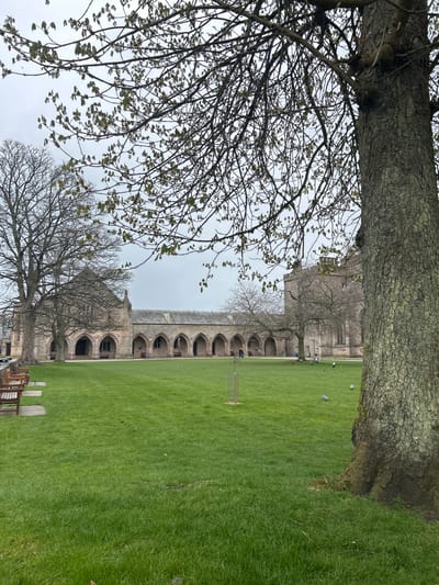 The image shows a green lawn framed by trees, with a stone building featuring arched walkways in the background. The location appears to be within the city of Aberdeen City, United Kingdom. A row of benches is visible on the lower right. Some people can be seen walking along the arched walkways of the building, and birds are visible on the lawn. The sky is overcast.