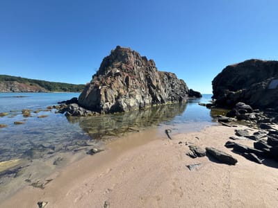 The image depicts a rocky coastline in Rezovo, Bulgaria, under a clear blue sky. In the foreground, a sandy beach meets calm, shallow water revealing submerged rocks and seaweed. To the left, a large, rugged rock formation rises from the sea, its surface textured with various shades of brown and gray, and dotted with small pink flowers. To the right, another dark, imposing rock juts out. In the background, a lush, green, forested hillside slopes down to the sea. The scene is tranquil, with no people or visible activity. The natural environment is the sole focus.