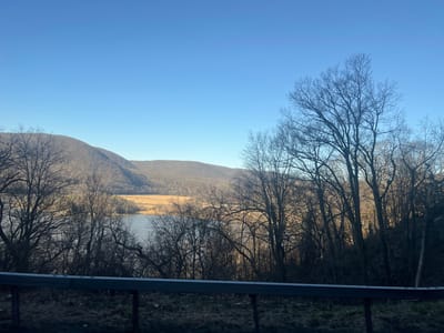 The image depicts a panoramic landscape situated in the Town of Cortlandt, United States of America. A dark grey, two-bar metal guardrail spans the lower portion of the frame, positioned above sparse, dry ground vegetation. Beyond the guardrail, a wide body of water, identified as a river or large lake, occupies the midground. The water's surface reflects the overhead sky. The body of water is partially obscured by a dense layer of numerous bare deciduous trees with dark, intricate branches, indicating a dormant winter or early spring season. On the opposing bank of the water, a flat expanse of light brown, dormant fields is visible, bordered by a dense line of trees. The background features a series of undulating hills and mountains, also covered in leafless, brownish-grey deciduous trees. A clear, bright blue sky with no visible clouds dominates the upper half of the image. No individuals, animals, or specific man-made structures are discernible beyond the guardrail.