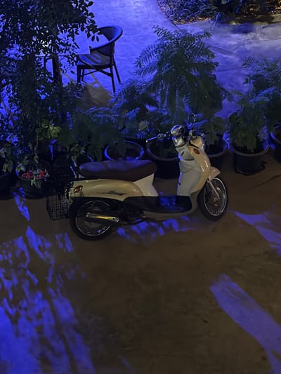 This media file captures a scooter parked outdoors at night. The scooter is predominantly white with some brown accents, featuring a basket at the front. It is positioned amongst several potted plants, which are illuminated by a vibrant blue light, creating a striking contrast with the darker surroundings. The ground appears to be concrete or asphalt, with abstract blue light patterns cast upon it, likely from the lighting source. The scene is dimly lit, suggesting it is either nighttime or a very shaded area. The overall ambiance is quiet and still, with no people visible. The presence of potted plants and an outdoor setting hints at a residential or perhaps a small commercial space like a cafe. The blue lighting adds a modern and somewhat artistic element to the otherwise ordinary scene. The location context of Ban Phonsavang Neua, Laos, suggests a potentially tropical or subtropical environment, though no specific weather indicators are present. There is no visible text in the image.