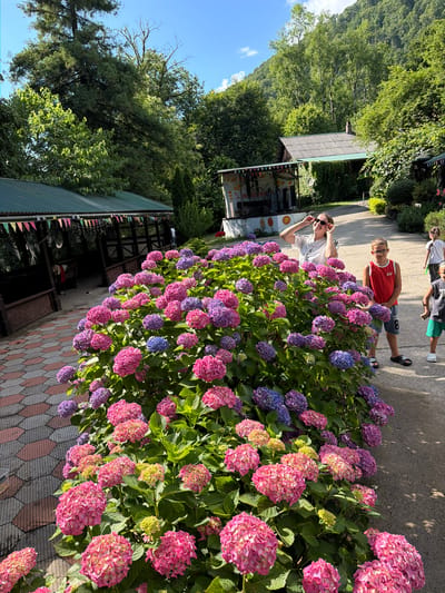 The image depicts an outdoor scene with a large bush of colorful hydrangeas in the foreground, featuring blooms in shades of pink, purple, and blue. Behind the flowers, a paved pathway runs alongside the bush. To the left of the pathway, there is a covered seating area with a green corrugated roof and decorative banners. Further in the background, a building with a similarly colored roof is visible, nestled amongst lush green trees and a hillside. Several people are present: a woman in a white shirt and sunglasses is standing near the hydrangeas, facing slightly away from the camera. To her right, a boy wearing a red tank top and shorts is looking towards the camera. Further down the path, another child is visible. The overall impression is that of a park or recreational area with natural landscaping. The location is identified as Semenovka, Russia.
