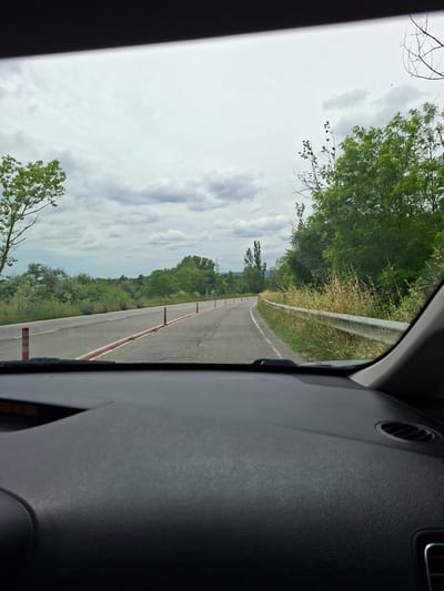 The image is a point-of-view shot from inside a car, looking out through the windshield. It depicts a two-lane asphalt road with a white dividing line and orange and white traffic cones placed along the right lane. The road curves to the left and is bordered by a metal guardrail and tall, dry grass on the right. On the left side of the road, there are trees and dense green vegetation. The sky is overcast with scattered clouds. The foreground of the image shows the dark interior of the car's dashboard. This scene is likely on a road in or near Bliznatsi, Bulgaria, given the context provided.