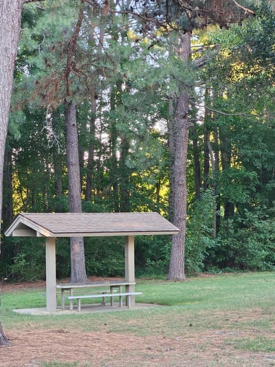 The image shows an outdoor picnic shelter with a concrete picnic table and benches, situated in a grassy area surrounded by pine trees and other foliage. The shelter has a light-colored roof with shingles and beige-colored support posts. Sunlight filters through the trees in the background, creating a dappled lighting effect. The ground in the foreground is covered with pine needles and a few scattered pine cones. The scene appears to be a park or recreational area, possibly in Dortches, USA, given the context provided. There are no people visible in the image, and no particular actions or interactions are depicted.
