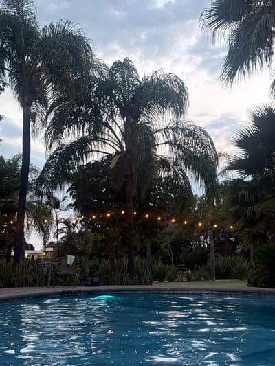 The image displays an outdoor, evening scene featuring a swimming pool, palm trees, and string lights. The shot is composed with the pool occupying the right side and lush foliage, primarily palm trees, filling the left and central portions, extending towards a cloudy sky.
Numerous large palm trees with dense fronds are prominent, silhouetted against a softly lit, overcast sky that suggests either dusk or an early night. A string of warm, glowing incandescent lights is strung between some of the trees, casting a gentle illumination.
The swimming pool's surface is a dark blue, reflecting the artificial lights as shimmering, distorted points of light, indicative of disturbed water. Along the edge of the pool, on what appears to be a paved deck, are a couple of dark outdoor chairs. One chair has a light green towel or piece of fabric draped over it, and another has a black bag resting on it. Beyond the immediate pool area, more tropical vegetation and trees are visible in the background.
The overall ambiance is tranquil and relaxing, consistent with a resort or leisure setting. There are no people visible, nor is there any discernible text within the image. The time of day is clearly evening, as indicated by the active artificial lighting and the dimming natural light from the sky. The location context of Santa Ana Yancuitlalpan (Chilhuacán), Mexico, aligns with the tropical vegetation depicted.