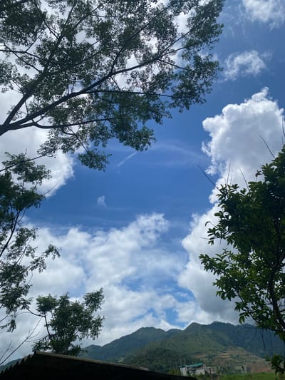 The image captures a detailed upward view of a bright blue sky filled with white cumulus clouds, framed by tree canopies in Dế Xu Phình, Vietnam. The upper and lower-left portions of the frame are occupied by the dense, dark green foliage and branches of a tree with numerous small leaves, silhouetted against the sky. Another tree with larger, darker green leaves and several bare, thin branches is visible along the right edge, also partially silhouetted. A faint, linear contrail or wispy cloud streak is discernible in the upper-central sky.

Below the treeline, a series of lush, green mountains rise in the background, appearing heavily vegetated with forested slopes. Patches of lighter green on the mountain sides suggest cultivated or terraced land. In the mid-ground, towards the base of the mountains on the left, several indistinct structures with light-colored roofs, including one with a turquoise roof, are visible. The very bottom of the frame reveals a dark, corrugated structure, likely a roof, partially obscuring the lower slopes of the mountains. The scene appears to be under daylight conditions. No individuals or specific actions are depicted.