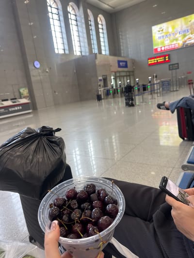 The image depicts a scene inside what appears to be a train station or airport waiting area in Suifenhe, China. In the foreground, a person is holding a clear plastic container filled with cherries. To the left, a large black trash bag is visible, likely placed on top of a suitcase. The background shows a spacious, brightly lit hall with arched windows and modern architecture. Various elements of a transportation hub are present, including ticket gates, digital displays, and seating areas. One person's legs and feet are visible in the mid-ground, resting with a suitcase. A digital advertisement board is mounted on the far wall, displaying Chinese characters and images. The overall impression is a waiting area before departure.