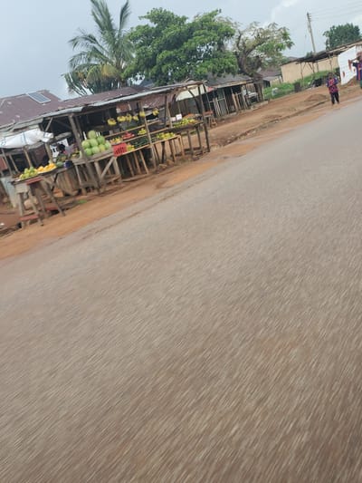 The image captures a motion-blurred roadside scene in Barikin Sabon Gidan Kanat, Nigeria, likely taken from a moving vehicle during the daytime. The paved road, which occupies a significant portion of the frame, exhibits streaks of motion blur. To the left of the road, there is a dirt shoulder alongside a series of makeshift stalls or small shops constructed from wood and corrugated metal.
These stalls are laden with fresh produce, including numerous green coconuts or similar fruits stacked in pyramids, bunches of yellow bananas, and some red fruits, possibly apples or tomatoes, displayed in crates. A palm tree and other lush green trees are visible behind and above the stalls, providing shade. On the roof of one structure, a small solar panel can be seen.
Several people are present on the dirt path and near the stalls. One person wearing a patterned shirt stands by a building further down the path, and another individual in blue and red attire is visible in the background. A utility pole with wires stands between the road and the buildings. Part of a sign with the text "SARA RESTAURANT" is faintly visible above one of the structures. The sky appears overcast, contributing to soft, diffused lighting across the scene.