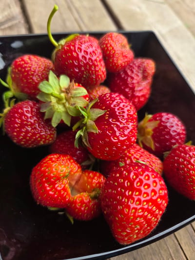 A close-up shot captures a black bowl filled with fresh strawberries, placed on a weathered wooden surface. The strawberries are vibrant red, with visible seeds and green stems. Some strawberries are whole, while others show slight imperfections or variations in shape. The lighting suggests it is daytime, and the natural wood grain of the table indicates an outdoor or rustic setting. No people, text, or specific events are depicted. The focus is solely on the arrangement and visual appeal of the ripe strawberries.