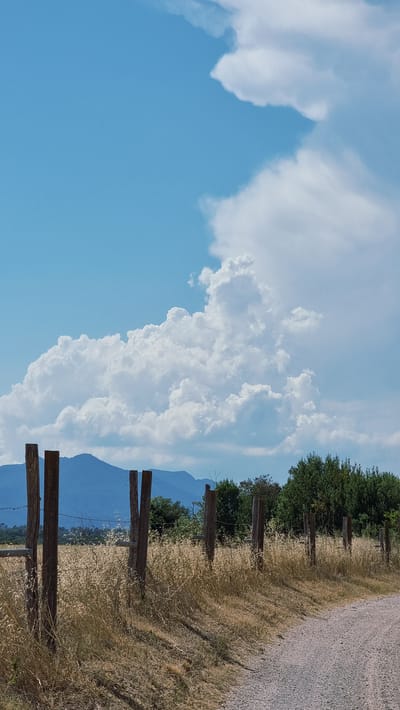 A dirt road runs diagonally from the lower right corner towards the middle ground of the image. A wooden fence, made of weathered posts and barbed wire, runs parallel to the road and occupies the foreground and middle ground. Beyond the fence, dry, tall grass and a few scattered bushes are visible. In the middle distance, a line of trees creates a dark green band, behind which a range of blue mountains extends horizontally. The sky above is a bright, clear blue, with large, fluffy white cumulus clouds dominating the upper half of the image. The scene is bathed in bright sunlight, casting shadows on the road and grass. This scene is located in Navata, Spain.