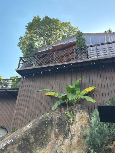 The image depicts an outdoor scene with a multi-level wooden structure against a clear blue sky. The structure features a large, dark brown wooden wall that forms the base of the upper levels. A balcony with a decorative metal railing runs along the front of the upper level. String lights are visible along the underside of the upper balcony. Above the balcony, a partially transparent roof covers a space, and a large tree with green foliage extends over the structure. In the foreground, a large, textured rock formation is partially covered in small green vines. A banana plant with broad leaves, some yellowing, grows from the top of the rock. To the right of the rock, a wispy green shrub is visible, and a dark, flat object, possibly a table or canopy edge, juts into the frame from the right side. The scene appears to be a landscaped outdoor area, possibly a restaurant or cafe, in Nizhnyaya Shilovka, Russia.
