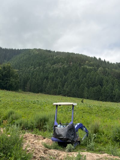 The image shows a purple and white mini excavator parked on a dirt patch in a green, grassy field. The excavator is covered partially with a black tarp. In the background, a dense, dark green forest covers a sloping hillside under a cloudy, overcast sky. The location is identified as the city of Kaindy, Kyrgyzstan.