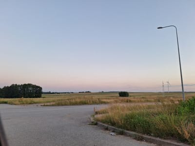 The image depicts an outdoor scene, likely at dusk, with a clear, pale blue sky fading to a soft pink hue near the horizon. In the foreground, a paved area, possibly a parking lot or roadside, occupies the lower left and center of the frame. Dry, tall grass grows along the edge of the pavement, bordering a more distant field.
In the middle ground, a cluster of dark green trees is visible on the left. Beyond the trees, rolling fields stretch towards the horizon, interspersed with patches of lighter green and golden dry vegetation. Several structures are scattered across the landscape, including what appears to be a wind turbine and a tall electricity pylon. A solitary street lamp stands on a pole on the right side of the image, its dark fixture silhouetted against the sky. The overall impression is one of a rural or semi-rural environment at the edge of a town or city.
Based on the presence of wind turbines and the agricultural landscape, this scene could plausibly be located in the vicinity of Łomża, Poland, a city known for its surrounding rural areas and industrial zones which often feature such infrastructure.