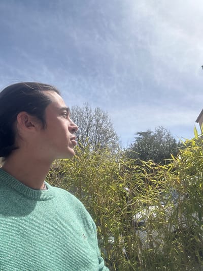A person is looking up at the sky in Mougins, France. The sky is light blue with some white clouds. The person is wearing a light green sweater. There is some bamboo and other trees in the background.