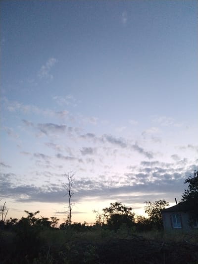 This is a photograph of a rural landscape at dusk in Bilousivka, Ukraine. The sky is a pale blue transitioning to a soft orange glow near the horizon, with scattered, thin clouds. In the foreground, there is dense, dark vegetation, including bushes and trees. A solitary, bare tree stands prominently in the middle ground. To the right of the frame, a small, dilapidated house with two visible windows and a chimney is partially obscured by trees. The overall impression is one of quiet desolation, possibly at the end of a day.