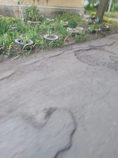 The image depicts a close-up, slightly blurred view of an asphalt surface with several large potholes. In the background, a patch of greenery is visible, with some plants growing in what appear to be repurposed tires. A portion of a building with a light-colored facade is also present. The scene is likely an outdoor public space in the city of Zhovti Vody, Ukraine, possibly a residential courtyard or a less maintained area. There are no people or animals visible in the frame.