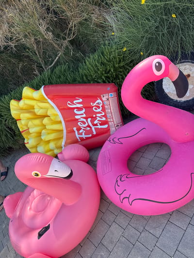 In Crveni Vrh, Croatia, a collection of inflatable pool toys rests on a paved patio area adjacent to lush green foliage. The scene features two pink flamingo-shaped inflatables and one inflatable resembling a large box of french fries. The french fry inflatable is red with yellow fries and white lettering that reads "French Fries." One flamingo is positioned closer to the camera, its head angled towards the left, while the other, a larger, ring-shaped float, is to the right with its neck curved. The ground is paved with gray rectangular tiles. The background is dominated by a dense arrangement of green plants, with a hint of dry branches from a shrubbery. The lighting suggests an outdoor daytime setting.
