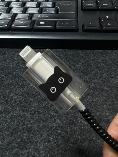 The image shows a close-up view of a black cable protector shaped like a cat's head attached to a charging cable. The cable protector has two white eyes with black pupils. The charging cable is connected to a white lightning connector, likely for an Apple device. In the background, a portion of a black computer keyboard is visible, with keys labeled "Shift", "Fn", "Ctrl", "Enter", "Delete", and "End". The surface below the keyboard and cable is a dark, textured material, possibly a desk mat. There is no visible indication of the city of Kadamjay, Kyrgyzstan, or any other specific location.