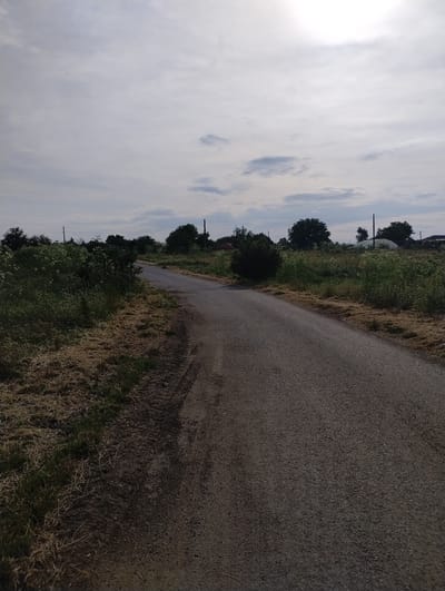 The image depicts a narrow asphalt road cutting through a rural area, possibly near Roza, Bulgaria. The road stretches into the distance, flanked on both sides by dense vegetation, including tall grasses and small trees. The sky is overcast with a mix of clouds and bright light, potentially from the sun. Utility poles are visible along the roadside. There are no people or animals visible in the frame.