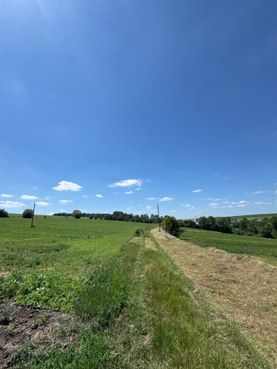 The image depicts a rural landscape under a bright blue sky with scattered white clouds, likely in the vicinity of Vybudiv, Ukraine. In the foreground, a dirt path or track runs diagonally from the lower left to the upper right, bordered on the left by lush green grass and some patches of darker soil with vegetation, and on the right by a strip of dry, mowed grass and stubble. Beyond this path, expansive green fields stretch into the midground, with some lighter green areas suggesting cultivated crops. A single utility pole stands on the left side of the path in the midground. In the background, a line of trees forms a treeline, and beyond that, a village or town is visible with red-tiled roofs and a white-domed building, possibly a church, suggesting a settled area within the rural expanse. The overall impression is of a bright, sunny day in an agricultural region.