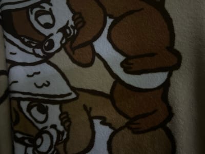 The image shows a close-up of a fabric featuring cartoon characters. The primary subjects are two cartoon figures that resemble Chip and Dale, the Disney chipmunks, dressed in explorer outfits. The upper character has a wide-eyed expression, while the lower character also has an open mouth. They appear to be stacked or linked together. The fabric is plush, with brown and white coloring. The image does not provide any information that allows for the determination of location in Cheongju-si, South Korea. No actions or interactions are depicted, just the cartoon character renderings on the material. The environment is limited to the fabric itself.