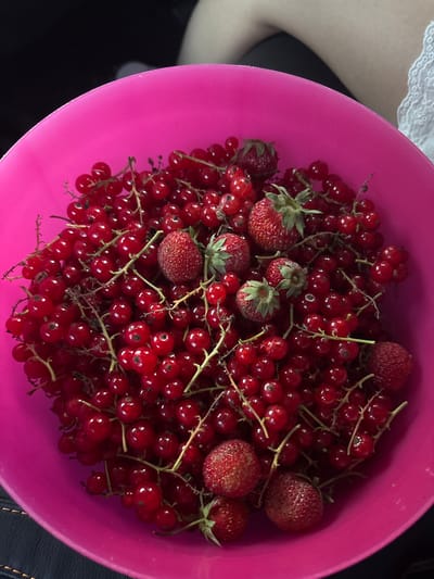 The media file shows a bright pink bowl filled with red currants and a few strawberries. The berries are fresh and plump, with some still attached to their stems. The strawberries are scattered amongst the currants, adding a different texture and color. The bowl is placed on a dark surface, and a small portion of a person's clothing, made of white lace, is visible in the upper left corner of the image. The lighting appears to be natural, suggesting it might be daytime. The scene is a simple, close-up shot focusing on the fruit. There is no visible text in the image. The context indicates the location is Razdolnoye, Russia.