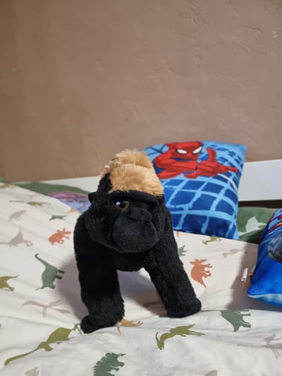 A black plush gorilla toy with a light brown top knot stands on a white bedsheet with a pattern of dinosaurs. Behind the gorilla, a blue pillow with a red Spider-Man design is visible. The background consists of a beige, textured wall. The scene is indoors, likely in a bedroom. The image does not provide any information about the city of Pohránov, Czechia.