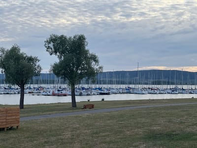 This image captures a serene waterside scene in Nonsard-Lamarche, France. The main subjects are a marina filled with numerous sailboats docked in calm water, and the lush green landscape in the foreground. Two prominent trees stand on the left side of the frame, their branches reaching upwards. A simple wooden bench is visible on the grass, suggesting a place for rest and contemplation. In the far left, a wooden structure, possibly a planter or seating area, adds to the rustic charm of the scene.
The activity is passive; the sailboats are at rest in the marina, indicating a moment of calm rather than active sailing. The time of day appears to be late afternoon or early evening, given the soft, diffused light and the overcast sky. The weather is cloudy, with a textured pattern of clouds filling the sky, creating a muted and peaceful atmosphere. The distant hills form a gentle horizon line behind the marina, providing a sense of depth.
Notable details include the sheer number of sailboats, suggesting a popular sailing destination. The calm water and the overcast sky contribute to a tranquil and perhaps slightly somber mood, typical of a quiet evening by the water. There is no visible text in the image.