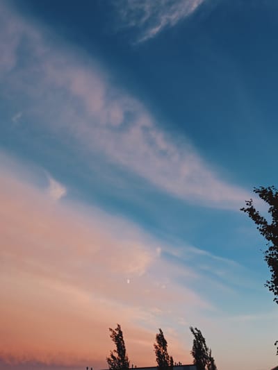 This image captures a twilight sky over Peetri alevik, Estonia. The sky transitions from a deep blue at the top to a soft pink and orange hue near the horizon, indicating the presence of sunset or sunrise. Wispy clouds are scattered across the sky, catching the fading light and adding texture. In the lower portion of the frame, silhouetted against the colorful sky, are the tops of several trees, their branches dark and intricate. A sliver of the moon is visible in the upper half of the image, a pale crescent against the deepening blue. The very bottom of the image shows the suggestion of buildings, their shapes indistinct and dark, further grounding the scene within an urban or suburban environment. The overall atmosphere is serene and visually striking, with the gradient of the sky being the dominant feature.