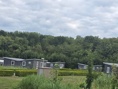 The image depicts a row of modern, dark gray cabins with white trim and angled roofs, set against a backdrop of lush green trees and a cloudy sky. The cabins are arranged in a line, with manicured green hedges separating them and a grassy area in the foreground with tall reeds. Several of the cabins have visible windows, and some have outdoor lights. In the distance, more trees form a dense forest. The scene appears to be a holiday park or residential area in Zeewolde, Netherlands, given the style of the cabins and the surrounding natural landscape. There are no people or animals visible in the image.