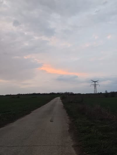 The scene depicts a rural landscape in Gorni Tsibar, Bulgaria, observed along an unpaved road at what appears to be twilight. The sky is largely overcast with grey and white clouds, but a distinct band of soft orange-pink light is visible near the horizon in the upper center-right. A light-colored, unpaved road, showing horizontal cracks and a faint tire impression in its lower-mid section, extends from the foreground into the distance, curving slightly to the left. To the left of the road, a cultivated green field occupies the midground, stretching towards a distant line of dark, leafless trees and shrubs that define the horizon. To the right of the road, a strip of unkempt, dry grass and brush borders the path, also giving way to fields or lower ground further right. A prominent, grey metal lattice-work electrical transmission pylon stands on the right side of the image, emerging from behind the tree line, with multiple power lines extending from its cross-arms across the sky. A second, less distinct pylon is partially visible further left in the background, also behind the tree line. No human or animal subjects are present in the image.