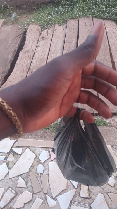 A close-up, eye-level shot shows a person's left hand and arm holding a black plastic bag. The hand is dark-skinned and adorned with a thick gold bracelet on the wrist. The plastic bag is partially filled and gathered at the top, with its lower portion obscured. The background consists of worn wooden planks laid horizontally, with patches of green grass and small white flowers along the top edge. Below the wooden planks, the ground is covered with irregular pieces of broken white and beige tiles laid on a concrete surface. The scene appears to be outdoors, possibly in a residential area of Donga, Nigeria.
