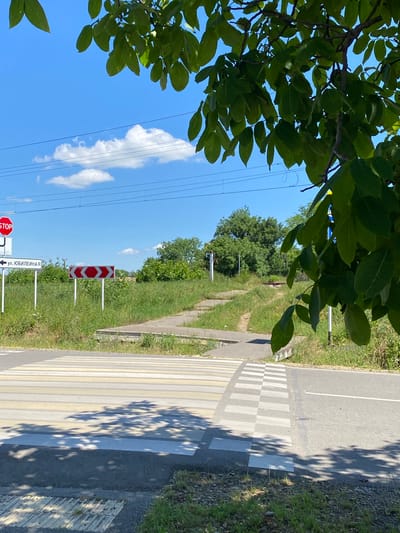 The image depicts a rural or suburban intersection with a pedestrian crossing in the foreground. A yellow and white striped crosswalk is visible on asphalt road. To the left, a red octagonal STOP sign is mounted on a white pole, accompanied by a white rectangular sign with Cyrillic text, likely indicating a street name. Further left, a smaller white sign with a black arrow pointing left also contains Cyrillic text. A red and white chevron warning sign indicating a curve or turn is present to the right of the street name sign.
In the background, a grassy embankment rises, with a pathway or stairs leading up to what appears to be a railway track or a road at a higher elevation, indicated by overhead wires and posts. Lush green trees and foliage form a backdrop against a bright blue sky with scattered white clouds. The branches of a large leafy tree partially obscure the upper portion of the image. The lighting suggests it is daytime, with shadows cast by the tree onto the crosswalk. The specific location is identified as Zapadny, Russia.