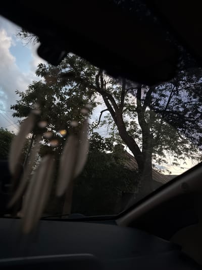 This media file shows a view through a vehicle window, looking out at a tree and some sky. The time of day appears to be either early morning or late afternoon, judging by the lighting conditions and the presence of clouds. The weather seems overcast, as indicated by the diffused light and the cloudy sky.
The primary subject in the foreground is a dark, silhouetted object which is likely the interior of the vehicle, possibly a person's head or a car seat. This silhouette is largely out of focus and obscures a portion of the view.
Beyond the window, a large tree with visible branches and leaves dominates the scene. The branches spread out, suggesting it's a mature tree. Through the gaps in the leaves and branches, glimpses of the sky and some structures can be seen. The sky is partly cloudy, with patches of lighter and darker gray clouds. There are also some faint, horizontal lines visible against the sky, which could be power lines or telephone wires.
In the background, parts of a building with a textured roof are visible, partially obscured by the tree. The overall setting appears to be a residential area. There are no visible signs of activity or a specific event taking place; it's a still, observational shot. The lighting suggests a subdued atmosphere, with no strong emotions conveyed. The location context is Stryi, Ukraine. There is no visible text in the image.