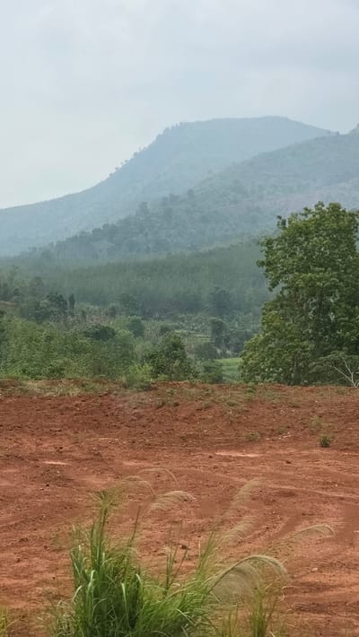 The image depicts a landscape near Dak Ro Wa, Vietnam. A mountain range shrouded in mist is visible in the background. A dirt road or hillside, predominantly red in color, occupies the foreground. Vegetation, including grass and trees, is interspersed throughout the scene. There are no people visible.