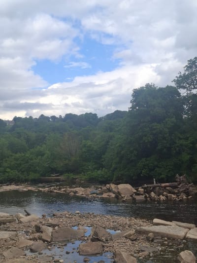 This is a vertically oriented, eye-level photograph of a rocky riverbank leading into a body of water. Dense green foliage covers a hillside in the background, which is partially obscured by the trees and vegetation. A bright blue sky with white clouds is visible on the left side of the image. The riverbank is lined with a variety of rocks and stones of different sizes. The water appears calm with gentle ripples. There is no discernible activity or event taking place. The time of day appears to be daytime, with the sky suggesting fair weather. The presence of lush vegetation and a river suggests a natural, possibly rural or park-like setting. There is no visible text in the image.