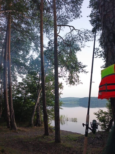 A calm lake is visible through a dense forest. In the foreground, a fishing rod stands upright, with a life vest hanging from it. The sun is low in the sky, casting a soft light on the scene. The environment is a natural one, with trees, water, and hills. The location is Nepryakhinskoye Sel'skoye Poseleniye, Russia.