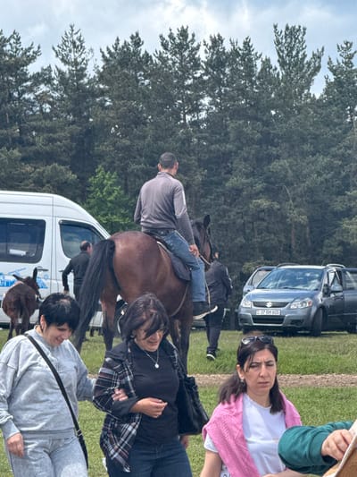 The image, likely taken in Gyulagarak, Armenia, depicts a group of people with a horse outdoors. A man is sitting on the horse. Several people are standing nearby, appearing to be watching or interacting with the horse and rider. A white van and a gray car are parked in the background. The environment consists of grassy ground, trees, and an overcast sky.
