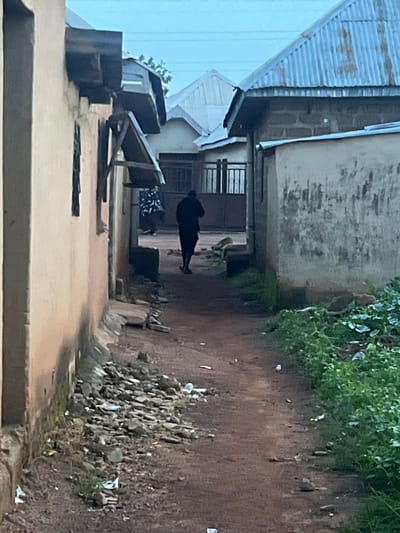 The image depicts a narrow pathway between buildings in Haifam, Nigeria. The pathway is made of dirt and is bordered by a pile of rocks and debris on the right. Overgrown green vegetation spills over the top of the wall on the right side. On the left, there are several structures with corrugated metal roofs and concrete walls.
In the middle of the pathway, a person is visible, wearing dark clothing and bent over as if engaged in some activity. Further down the path, another person can be seen near a doorway with horizontal bars. The overall impression is one of an informal settlement or residential area.
The lighting suggests it might be daytime, possibly overcast or in a shaded area, as there are no strong shadows. The presence of debris indicates a less-than-pristine environment. The scene is static, with the focus on the architecture and the solitary figure. There is no visible text in the image.