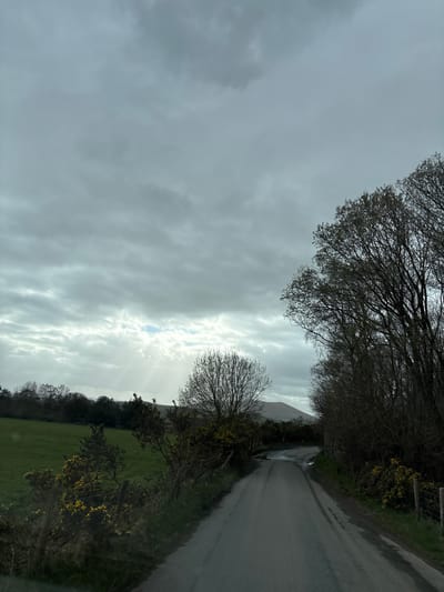 The image captures a rural landscape on what appears to be an overcast day with moments of sunlight breaking through the clouds. The perspective is from a slightly elevated position, looking down a narrow, winding road.
The sky dominates the upper portion of the image, filled with various shades of grey clouds. A prominent horizontal band of brighter, lighter clouds stretches across the middle of the sky, indicating that sunlight is either breaking through or illuminating these clouds from behind, creating a subtle glow. Patches of brighter, almost white light are visible within this band, suggesting improving weather.
A paved road runs along the right side of the frame, originating from the lower right corner and gently curving as it recedes into the distance towards the upper middle. The road surface appears dark and reflective in places, suggesting it might be wet. Faint tire tracks are visible on its surface.
Along the right edge of the road, a dense line of trees and bushes forms a natural barrier. Many of the larger trees have bare, intricate branches, typical of late winter or early spring before full leaf growth. Interspersed among these trees and bushes are splashes of bright yellow flowers, likely gorse, adding a vibrant contrast to the otherwise muted greens and browns of the vegetation. A fence, possibly made of wire or rough wood, is partially visible along this roadside, slightly obscured by the foliage.
On the left side of the road, a verdant green field stretches out. The grass appears well-kept, suggesting agricultural land or pasture. A darker line of trees and shrubs forms the far boundary of this field in the mid-ground. Beyond these trees, a distant, hazy horizon or landmass is visible beneath the cloudy sky.
The overall impression is one of quiet solitude in a natural, open environment. There are no people, vehicles, or man-made structures immediately visible apart from the road and a hint of a fence. The time of day is likely late morning or early afternoon, given the bright sky despite the clouds. The season appears to be late winter or early spring due to the bare tree branches and the emergence of yellow blossoms.