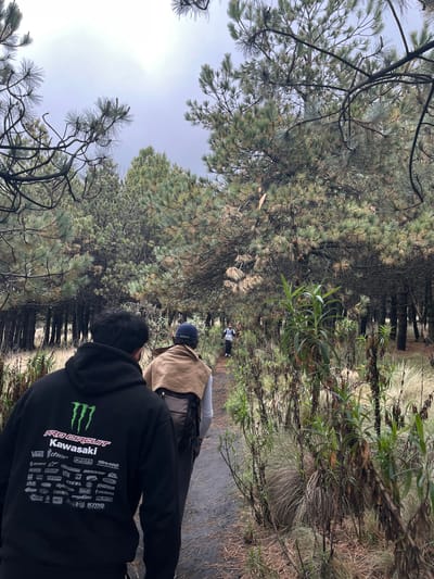 The photograph was taken in Tlamacas, Mexico, showing three individuals on a dirt path surrounded by pine trees and various plants. The individual closest to the camera is wearing a black hooded sweatshirt featuring "PRO CIRCUIT Kawasaki" and other brand names on the back. The middle person is wearing a tan jacket and a dark blue baseball cap, and the person in front of them is wearing blue. The path is uneven and dark, possibly made of compacted dirt or gravel. The sky is overcast, and the lighting suggests it could be early morning or late afternoon. The landscape features dense vegetation, including bushy plants and tall pine trees with needle-covered branches.