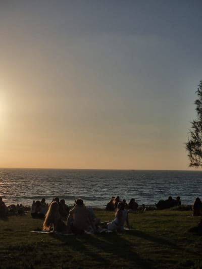 The image depicts a group of people sitting on the grass overlooking the sea at sunset in Palmachim, Israel. The sky is a gradient of pale yellow near the horizon, transitioning to a muted blue overhead, indicating the sun is low in the sky. The sea is a dark blue with gentle waves reflecting the fading light. In the foreground, several individuals are seated on blankets, facing the water. Their forms are silhouetted or partially illuminated by the warm, low sunlight. The grass is green and appears well-maintained, with shadows cast by the people. A sparse tree branch is visible on the right side of the frame, its silhouette adding to the atmospheric quality of the scene. In the distance, on the sea, a small boat can be seen. The overall impression is one of peaceful relaxation and communal enjoyment of the natural scenery.
