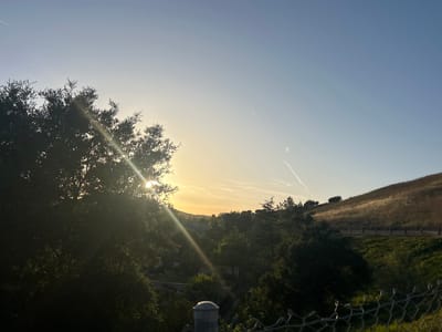 The image depicts a landscape in Oak Park, California, USA, at sunrise or sunset. A large tree is prominently situated on the left side, partially obscuring the sun. The sun's rays are visible through the tree's foliage. A gently sloping hillside covered in dry grasses is on the right. Trees and vegetation are clustered in the midground. A chain-link fence is partially visible in the lower portion of the frame. Two contrails are visible in the upper right quadrant of the sky. The sky is pale blue with hints of yellow where the sun is setting/rising.