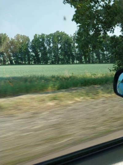 The image shows a view from a moving vehicle, likely a car, looking out towards a rural landscape. The foreground is dominated by a blurry, tan-colored surface, possibly a dirt road or embankment, with horizontal streaks indicating motion. To the left of the foreground, there is a patch of green vegetation, also blurred.

In the middle ground, a wide field of light green crops stretches horizontally across the image. Behind the field, a line of trees forms a dense, dark green border. The trees appear tall and slender, with a slightly irregular arrangement. The sky above is a pale, clear blue.

On the right side of the image, a car's side mirror is visible, reflecting a portion of the sky and a hint of blue, possibly the color of the vehicle. The reflection is also slightly blurred, consistent with the motion of the vehicle.

The overall impression is one of a journey through a rural area, with the visual elements blurred due to the speed of travel. There are no people or specific structures that would indicate a precise location within Solonovka, Russia. The scene depicts a natural environment with agricultural elements.