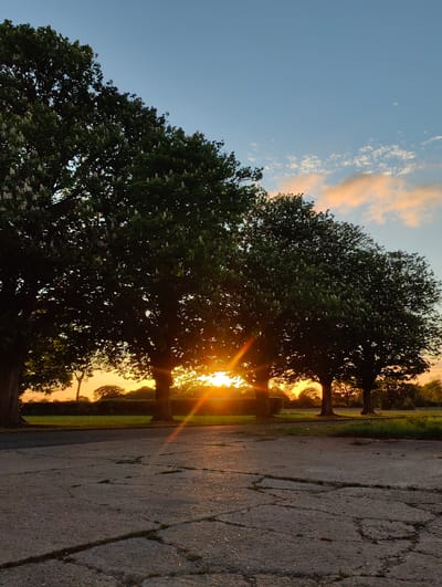 The image captures a sunset scene in what appears to be a park or semi-rural setting. Four large trees with full foliage stand in a row, silhouetted against the bright light of the setting sun. The sun is positioned low in the sky, its rays shining between the trees. The foreground is dominated by a cracked concrete surface. Beyond the trees, there is a field of grass and some bushes, also in silhouette. The sky is a gradient of blue and orange hues, with some wispy clouds visible. Given the general visual information, it is not possible to precisely define the location within Mid Suffolk, United Kingdom without specific landmarks, street signs, or geographic information.